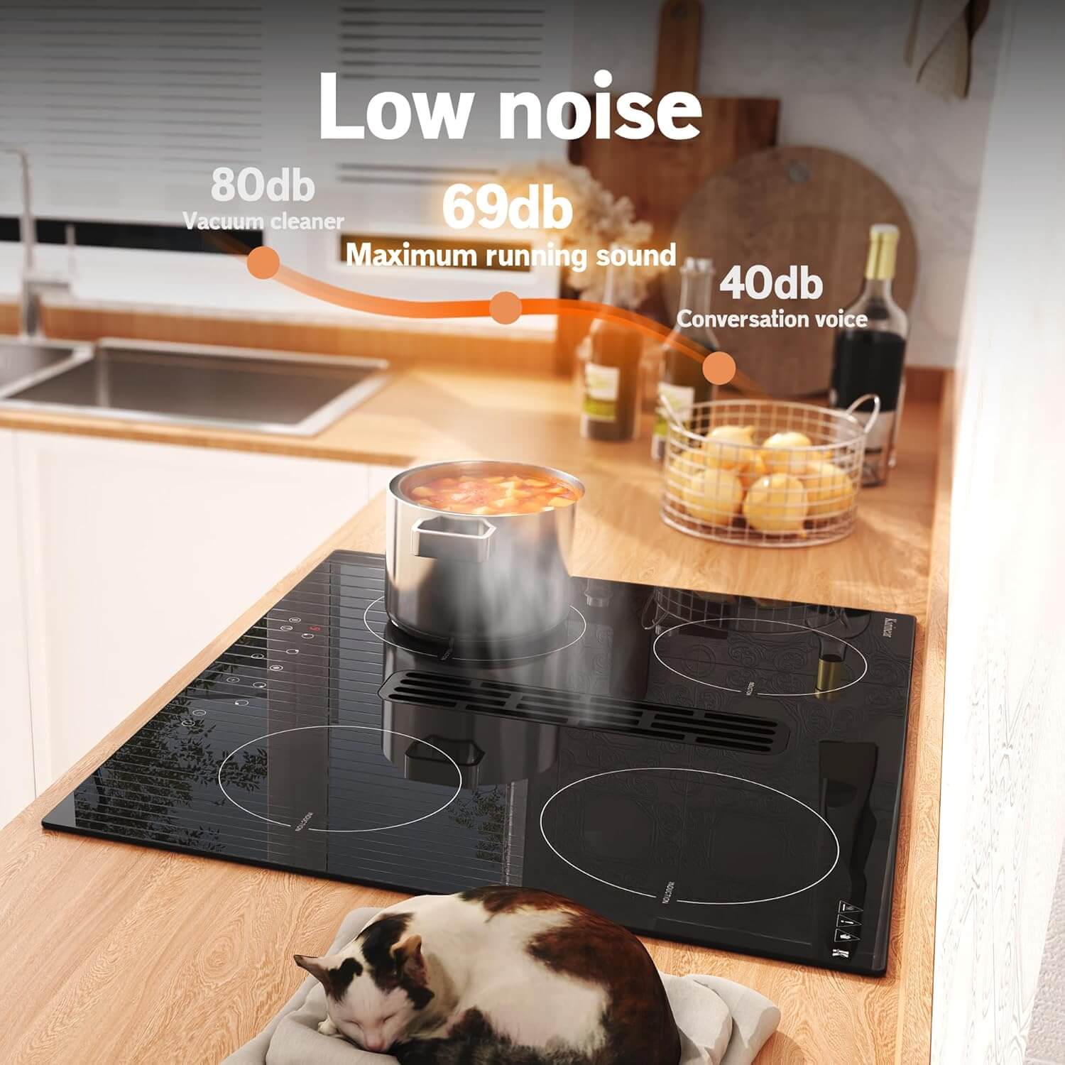 Induktionskochfeld mit Dunstabzug