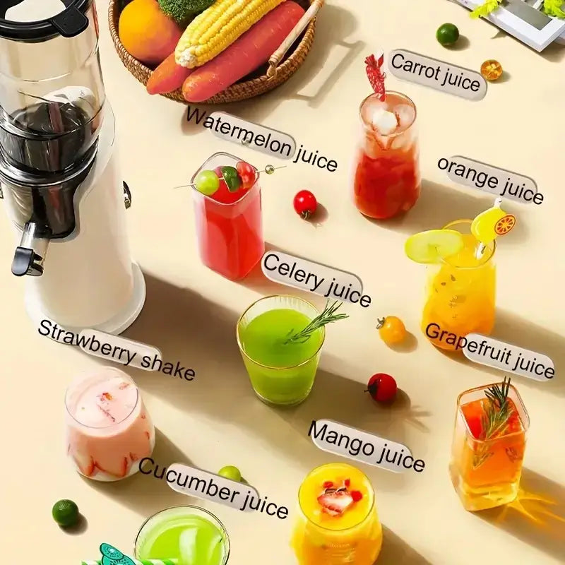 Cold Press Juicer