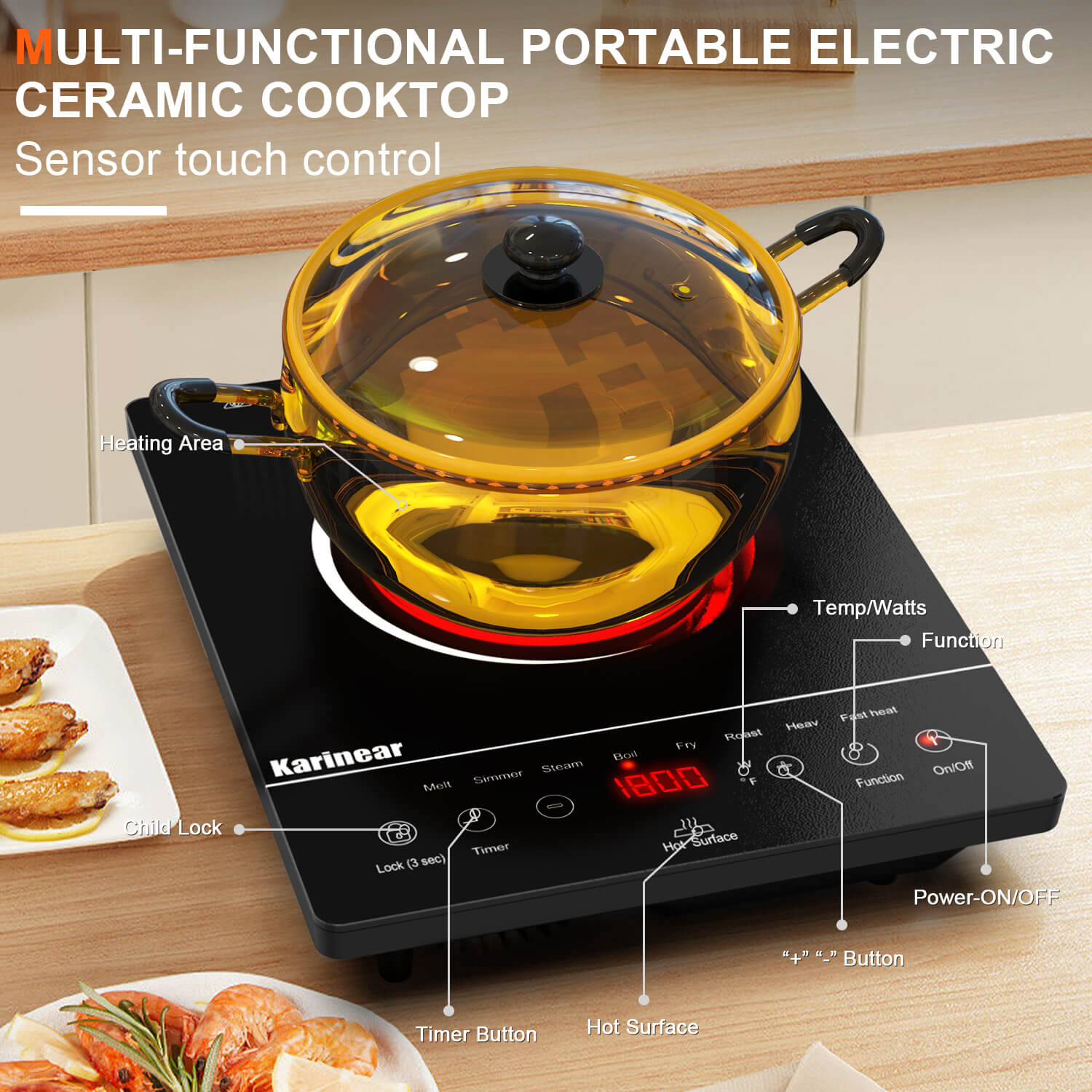 Multi-functional 110v Electric Cooktop
