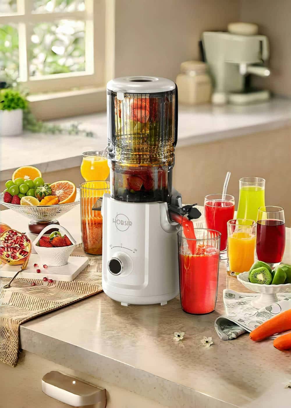 Cold Press Juicer,