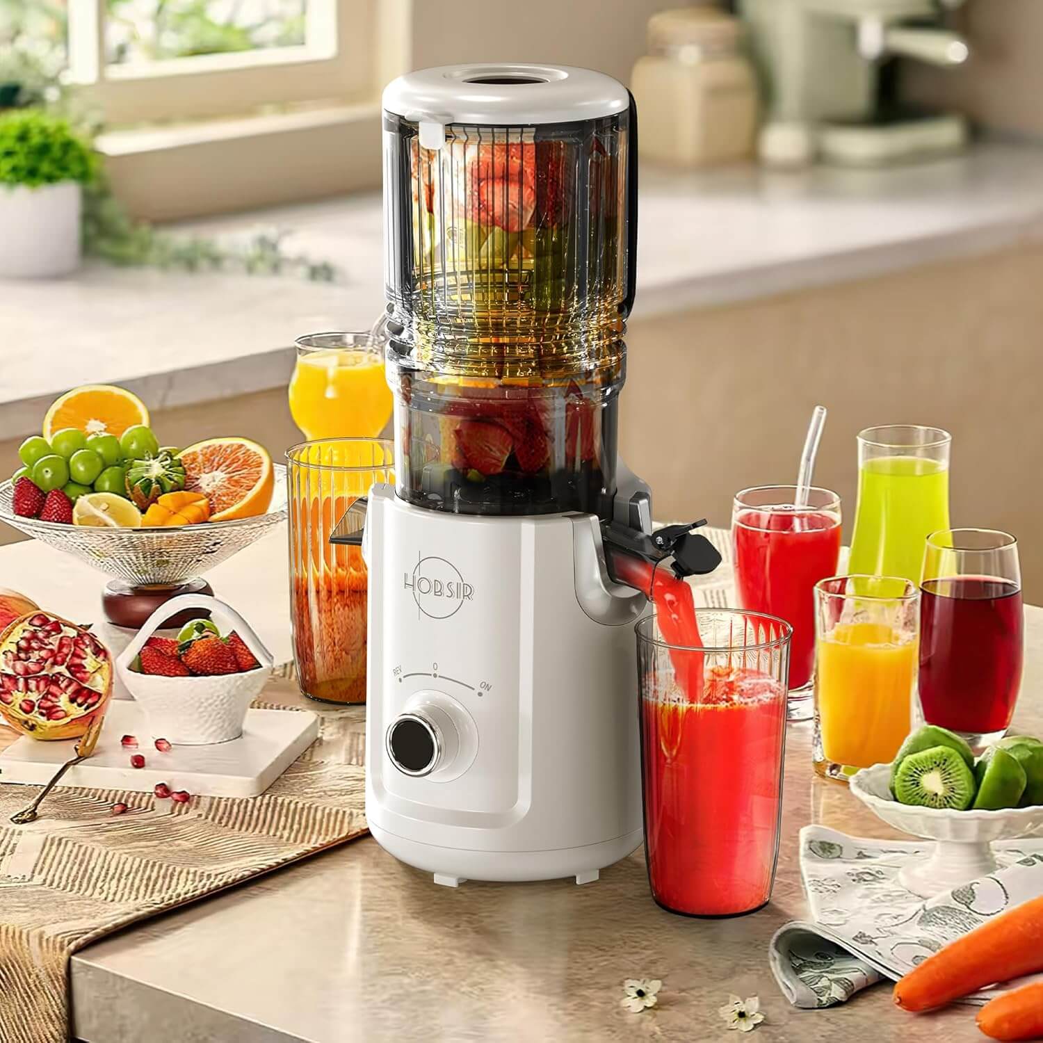 Karinear Masticating Juicer 5.3-Inch Large Feed Chute For Whole Vegetables and Fruits