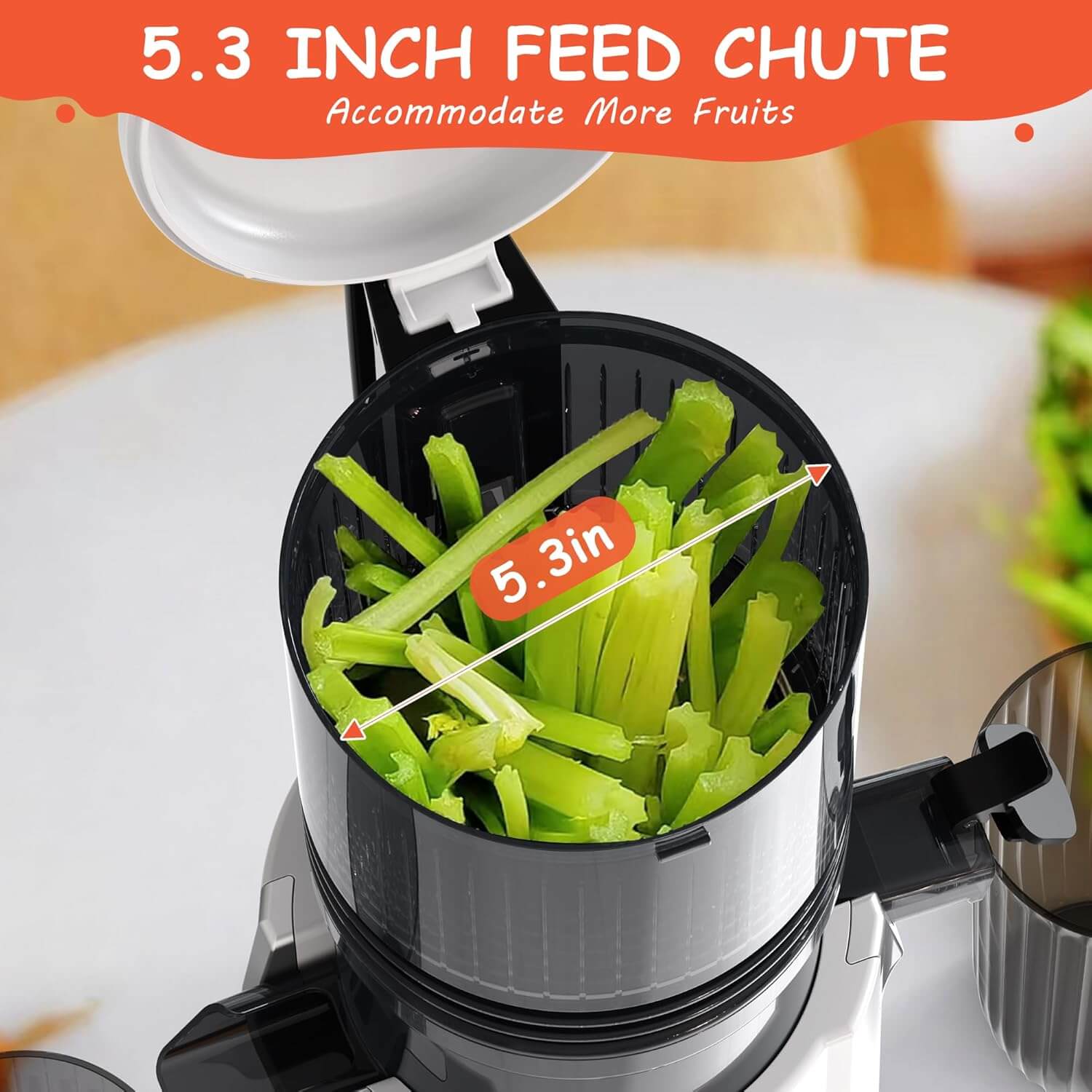 Slow juicer